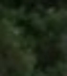 Profile picture of sean203