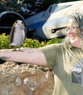 Profile picture of phoenixrose42