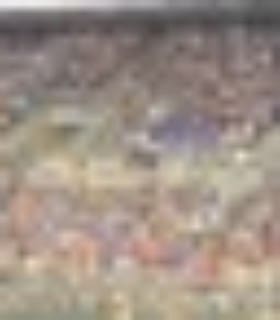Profile picture of AustinG123