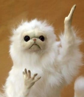 Profile picture of jessie_marie