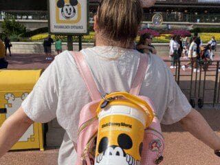 image_67505921