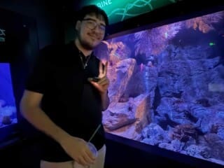 inbound2503062970262180204